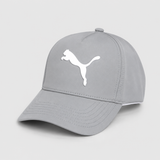 Arctic Trucker Cap Grey